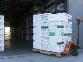 Cardboard Boxes stacked on a pallet being moved into a warehouse