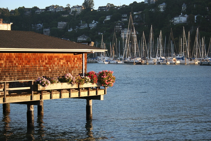 A bay scene in Tiburon, Ca